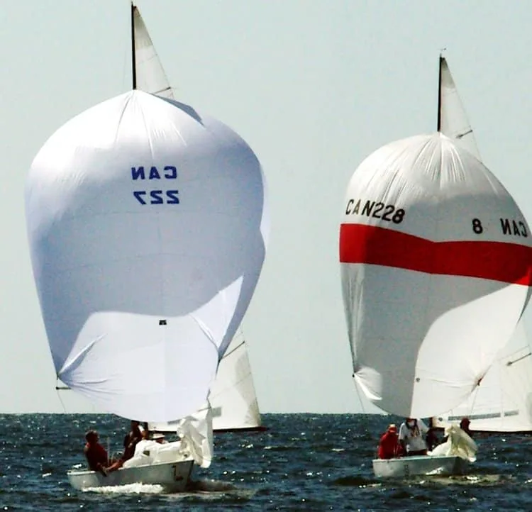 Two Solings racing side by side under spinnaker, CAN 227 and CAN 228