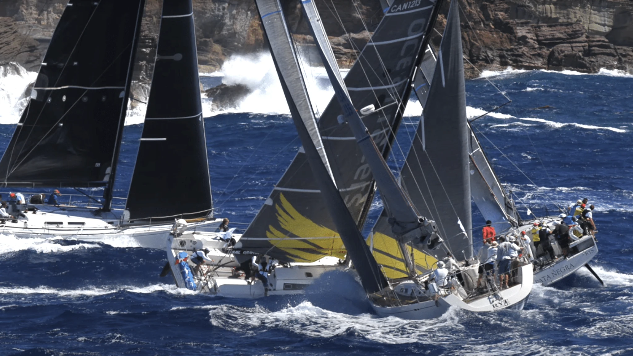 Racing fleet crossing tacks close to a rocky, wave-battered cliff coastline