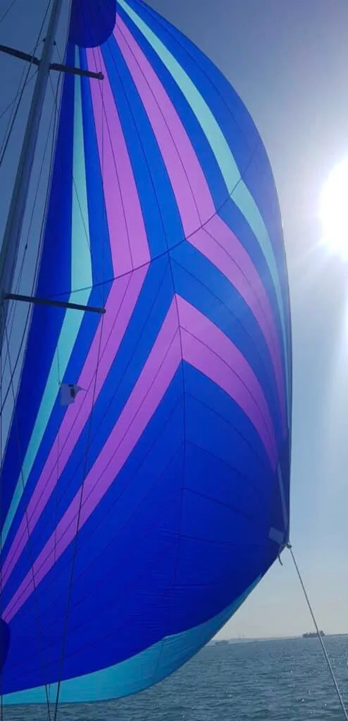 Blue and purple asymmetric spinnaker filled against a bright sun