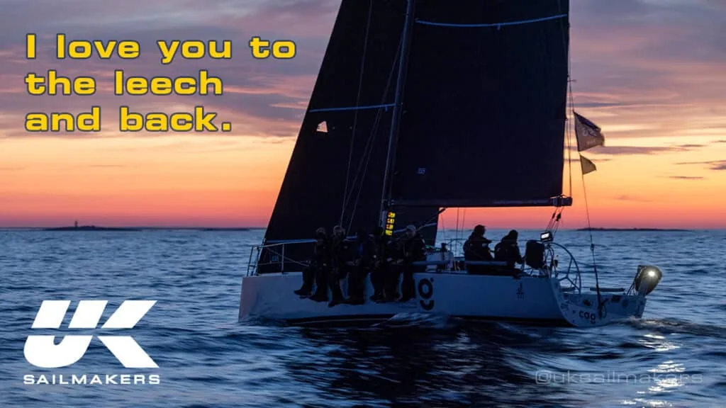 Valentine graphic at sunset: 'I love you to the leech and back.'
