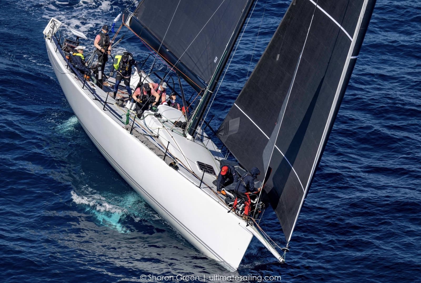 Greg Dorn's TP52 Favonius 2 racing downwind at the 2025 Transpac
