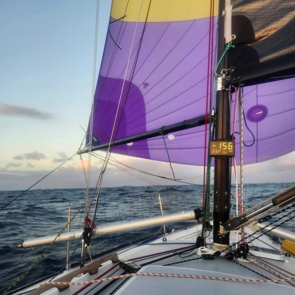 Purple and yellow asymmetric spinnaker flying from Dorado's bow at dusk, wind instrument reading 156