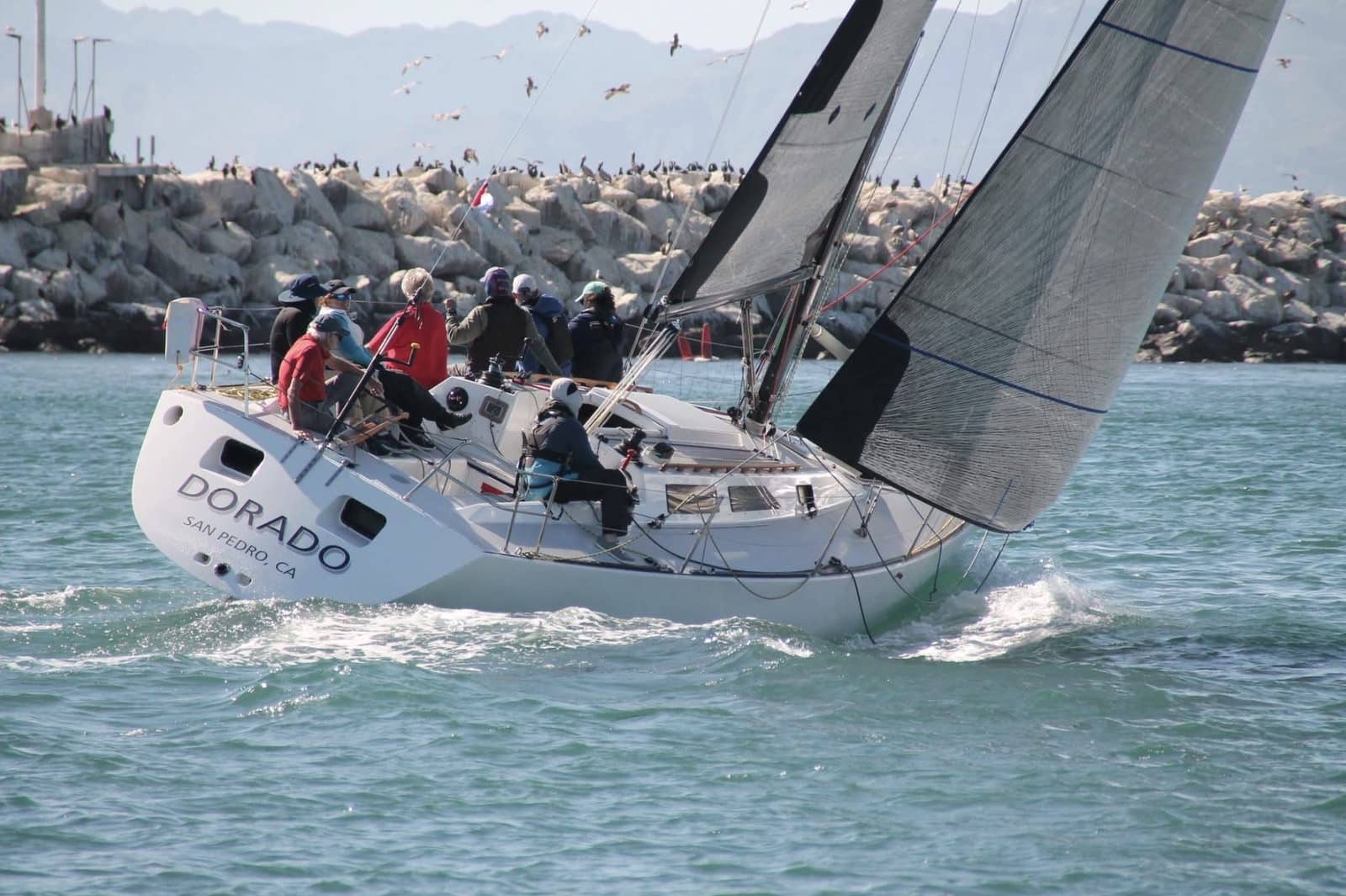 Brendan Huffman's Express 37 Dorado under a grey headsail with crew on the rail, breakwater astern
