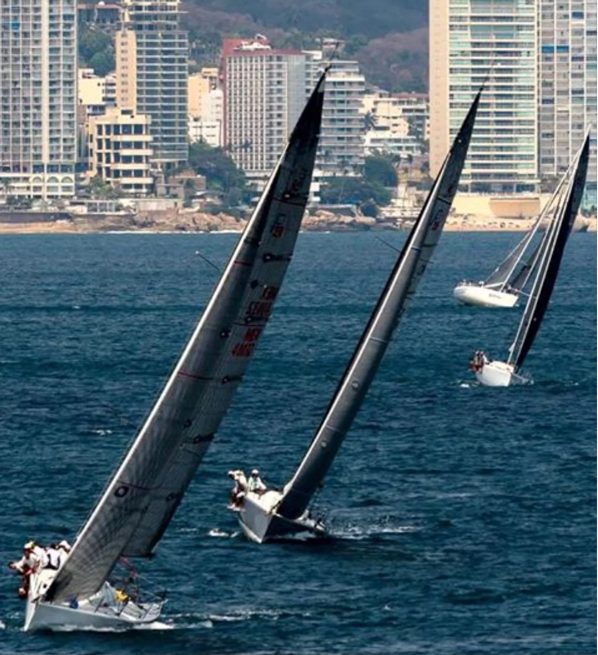Three Farr 40s beating upwind off Acapulco's high-rise waterfront with crews hiking on the rail
