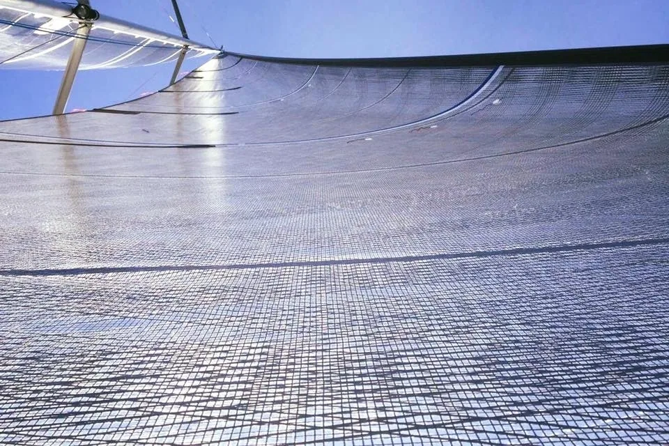 Looking up a backlit grey X-Drive® sail from the deck, the dense tape grid glowing against a blue sky