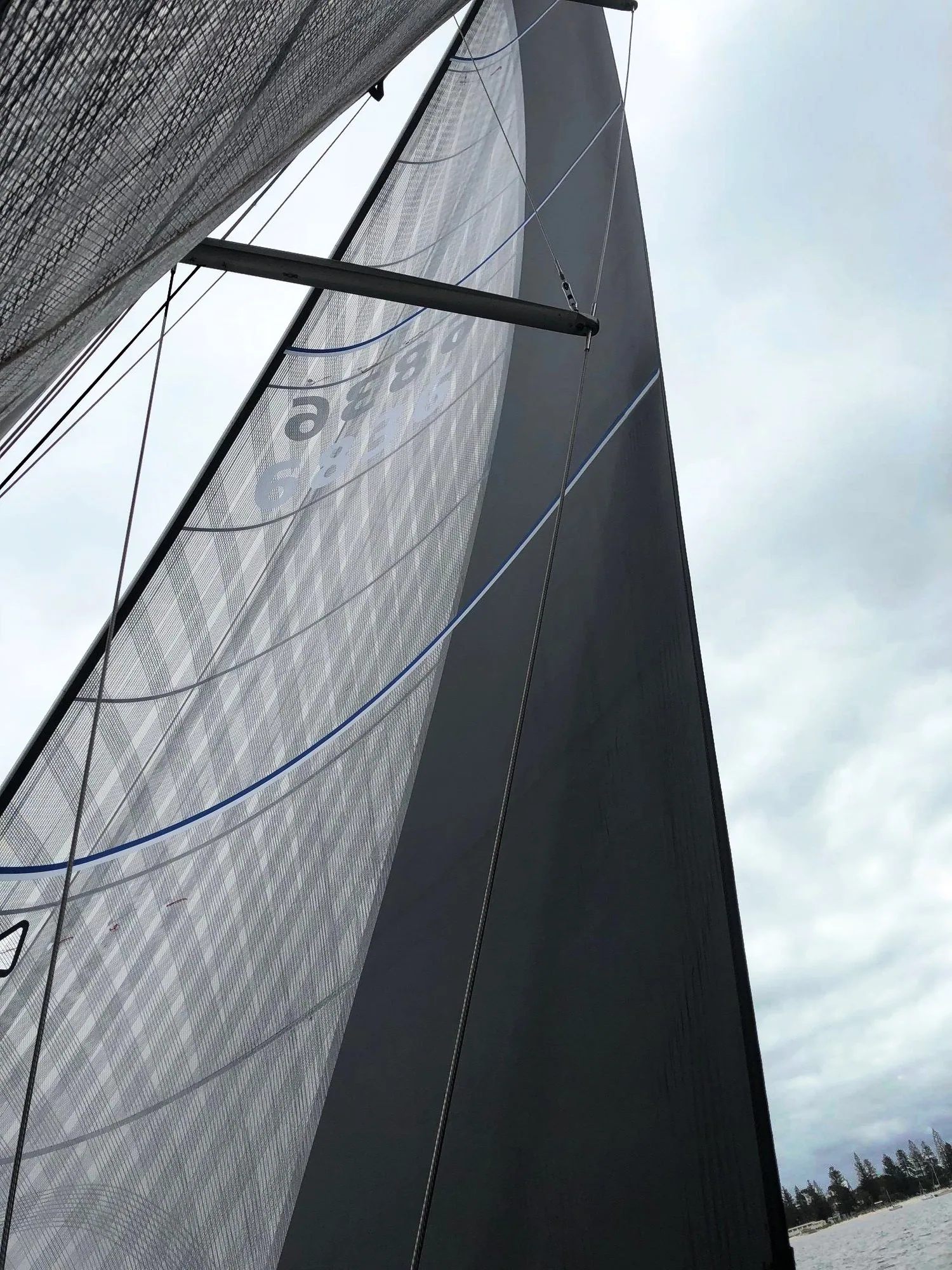 Looking up the luff of a grey X-Drive® No. 2 genoa, carbon tapes over grey laminate with a dark taffeta strip along the leech