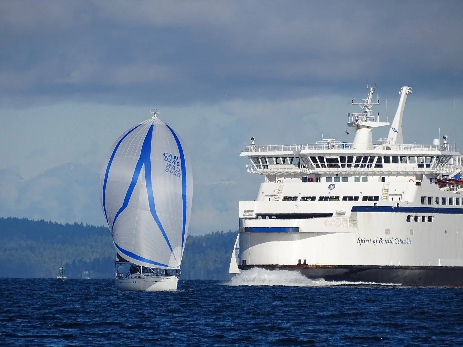 Sailboat under a white and blue spinnaker crossing close ahead of the BC ferry Spirit of British Columbia