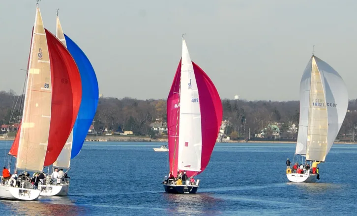 Four yachts running downwind under red, blue, magenta and white spinnakers on flat water with an autumn shoreline