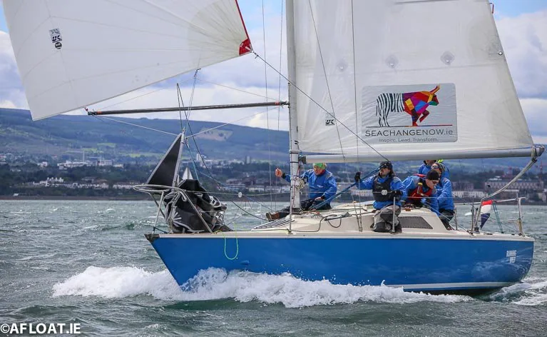 Blue-hulled sloop under white mainsail and genoa, crew in blue jackets bundling a spinnaker on the foredeck