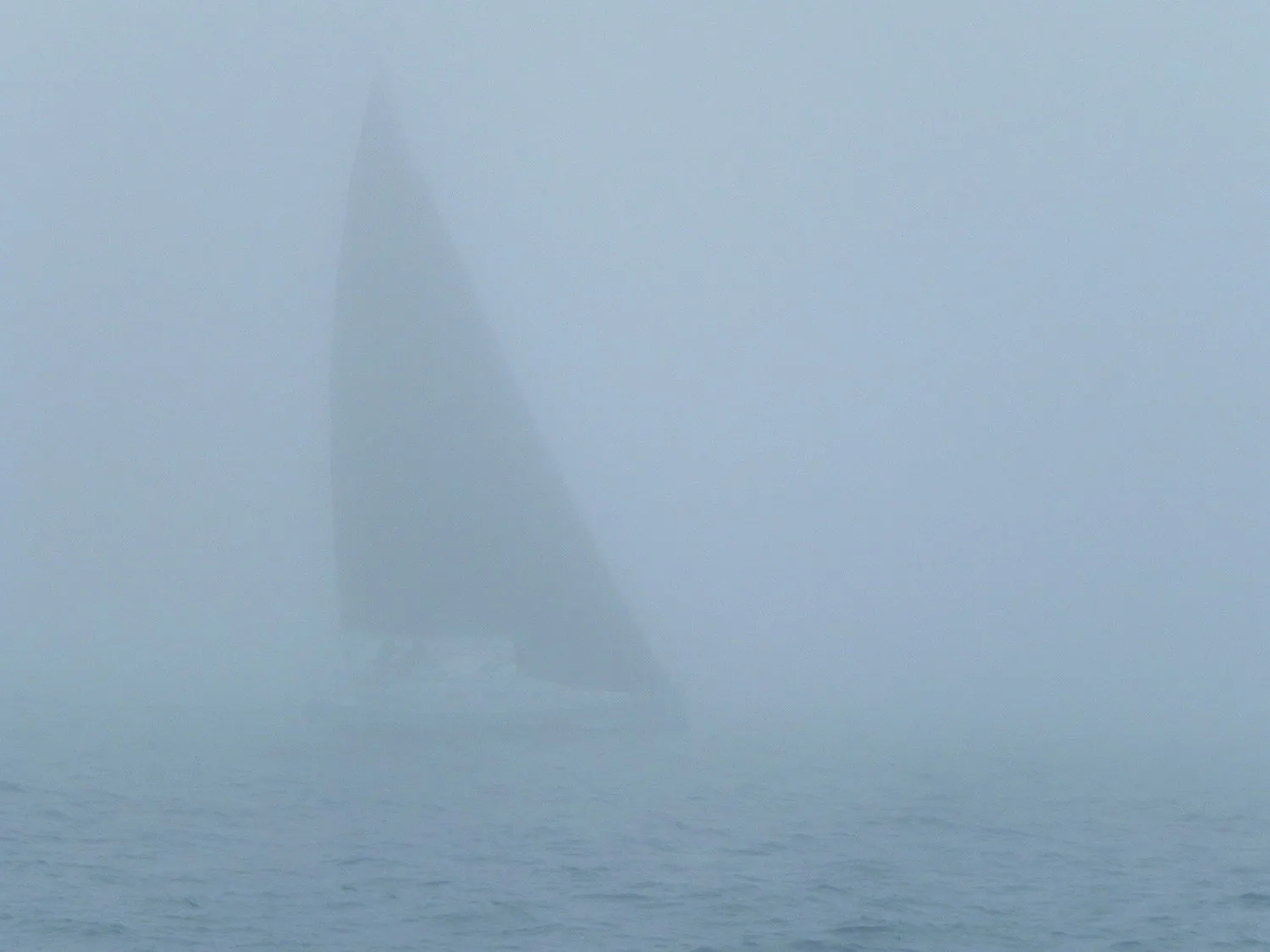 Soulmates barely visible in the fog.