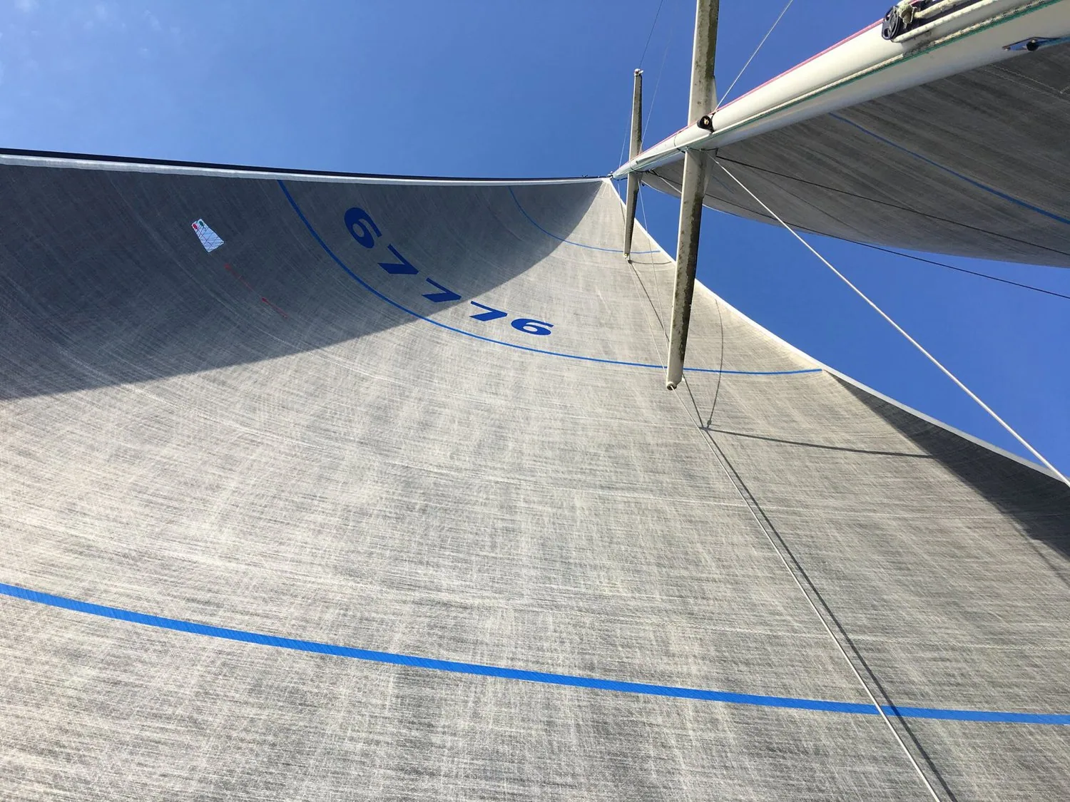 Looking up the grey laminate genoa of a Santa Cruz 50, sail number 67776 in blue, against a clear sky